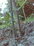 18052009(012).jpg
