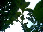 18052009(006).jpg