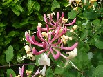 DSC05022.JPG