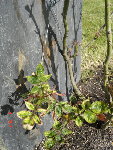 DSC02119.jpg
