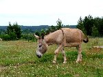le domaine de Romarin.jpg