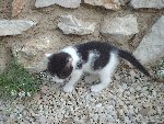 le 19 mai 2009 048.JPG