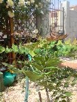P200509_15.47.JPG