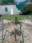 P200509_15.47[01].JPG