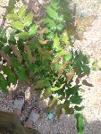 P200509_15.48.JPG