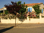 DSCN1417.JPG