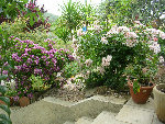 DSCN3314.JPG