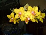 PICT2576.JPG
