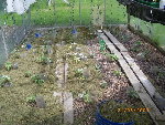 IMGP0247_redimensionner.JPG