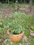 Rotation of Resize of 21 05 09 011.jpg