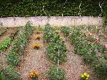 PICT0233.JPG