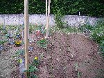 PICT0236.JPG
