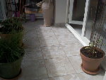 Exposition tomates190509_1.jpg