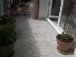 Exposition tomates190509_2.jpg