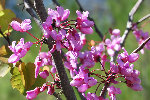 gg-DSC_0154.JPG