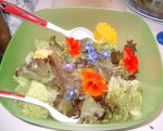 fleurs de bourrache et de capucine