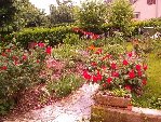 Jardin d'AuxerreFormat.JPG