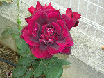 DSCN3320.JPG