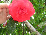 DSCN3321.JPG