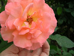 DSCN3322.JPG