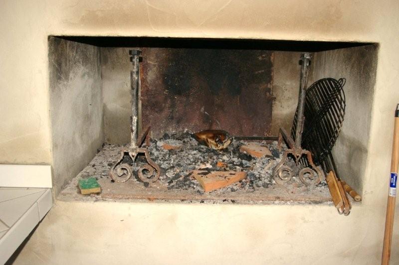 le barbecue fonctionne depuis l'automne
