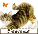 1bienvenue.gif
