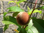 DSC00720.JPG