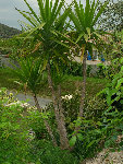 DSCN3279.JPG