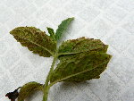 P1010665.JPG