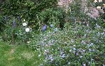 DSCF0619.JPG
