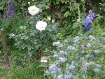 DSCF0621.JPG