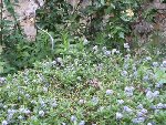 DSCF0622.JPG
