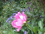 DSCF0624.JPG