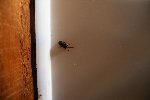 DSCF6349 (Large).JPG