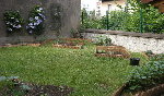 2009 05 Carré 2.jpg
