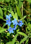 DSC01174.JPG