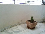 SP_A0521.jpg