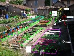 SDC10546.JPG