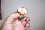100_3744.JPG
