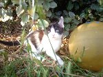 le 02 juin 2009 017.JPG