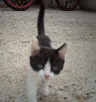 le 02 juin 2009 007.JPG