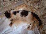 le 02 juin 2009 001.JPG