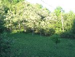 IMG_1118.jpg