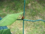 IMG_1124.jpg