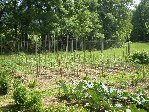 Resize of 03 06 09 005.jpg