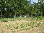 Resize of 03 06 09 004.jpg