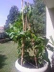 P03-06-09_11.45.jpg