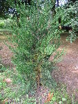 photo1