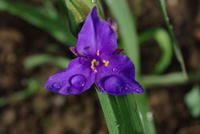IMGP0911.JPG