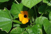 IMGP1095.JPG